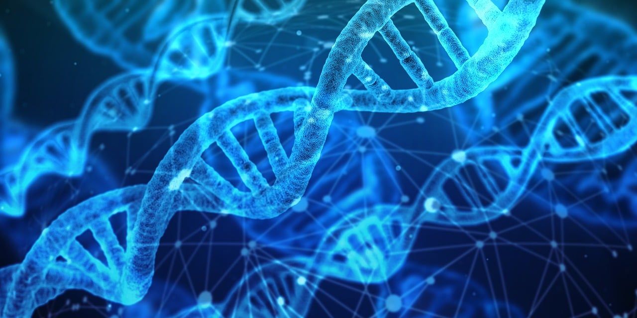 découvrez les dernières avancées et tendances en matière d'innovation, propulsant le futur des technologies, entreprises et sociétés.