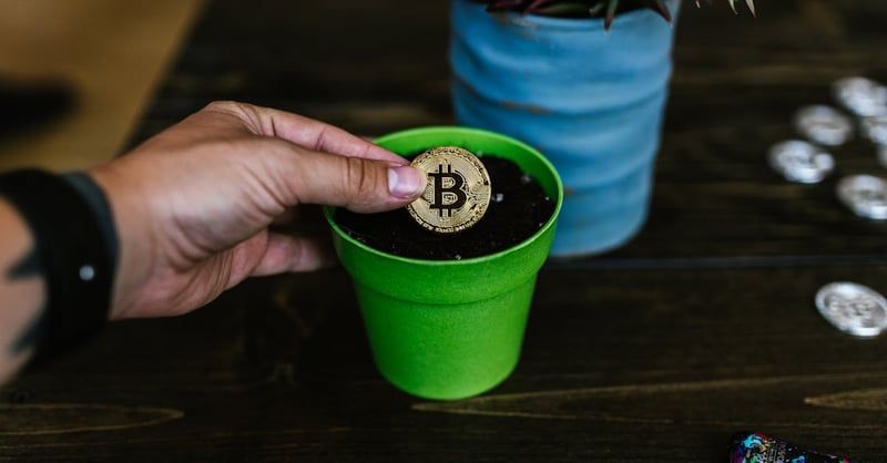 Création de valeurs : Comment générer de la richesse pour soi et pour les autres