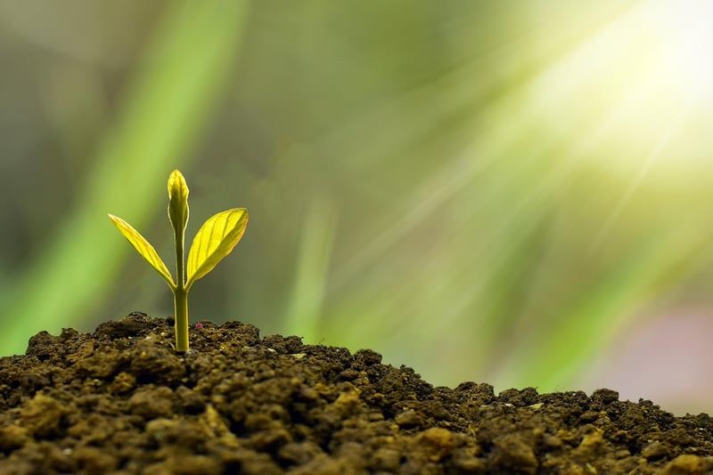Rose des Vents : L’outil essentiel pour guider la finance durable