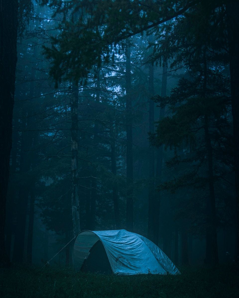 Découvrez le Charme Authentique d’un Camping en Drôme Provençale : Une Expérience Inoubliable à Grignan