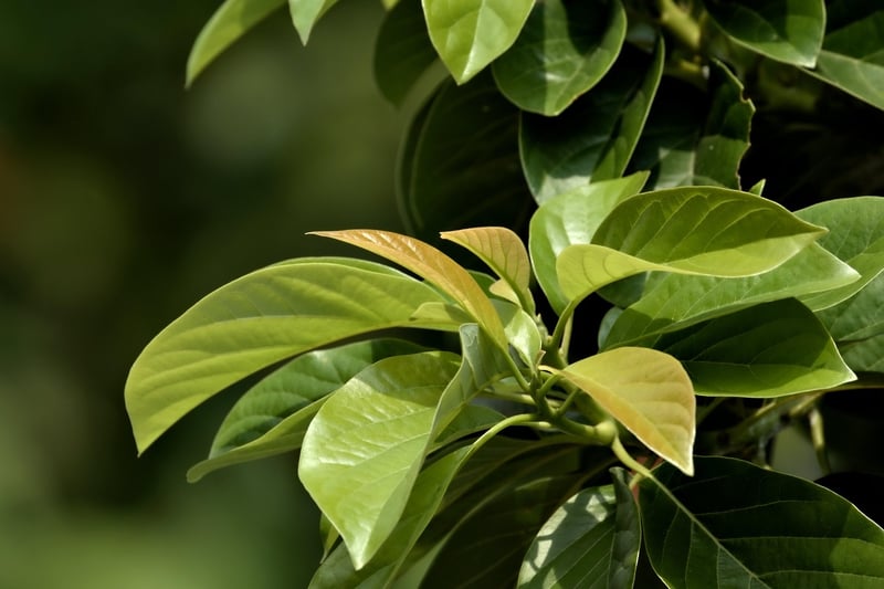 Plan PME 2025-2028 : Quelles initiatives pour stimuler la croissance des petites et moyennes entreprises ?
