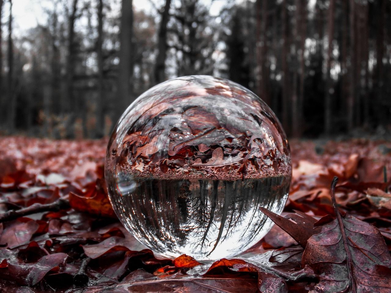 Comment l’automne rafraîchit l’air tout en réchauffant la vie personnelle des entrepreneurs