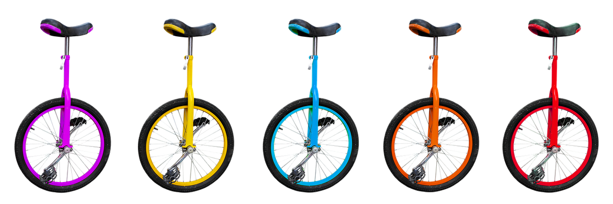 Wish One, la révélation cycliste de l’Aveyron soutenue par le fonds d’investissement Time 4