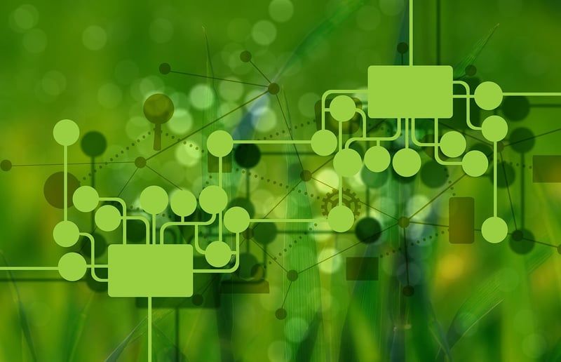 Modèles Économiques Numériques, Transformation Digitale et Entrepreneuriat Numérique : Existe-t-il une Durabilité dans le Monde Digital ?