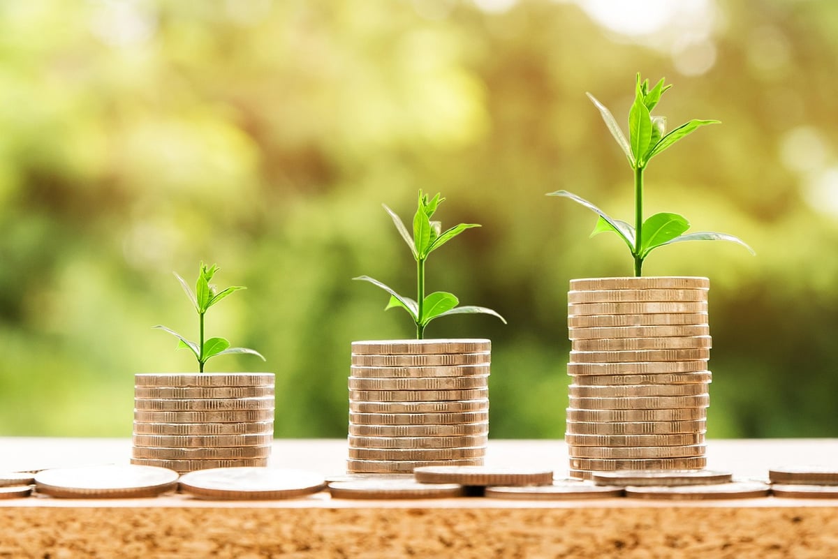 Maîtrise en Finance : Un Voyage au Coeur des Stratégies Financières
