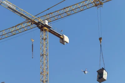 les grues