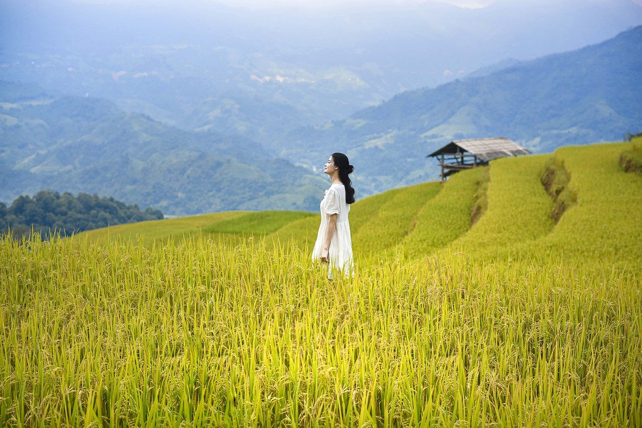 découvrez le parcours inspirant des femmes entrepreneuses qui transforment des idées innovantes en succès. explorez leurs défis, motivations et réussites, tout en célébrant leur impact dans le monde des affaires.