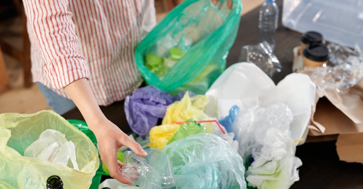 Économie circulaire : Comment adopter un modèle durable pour l’avenir