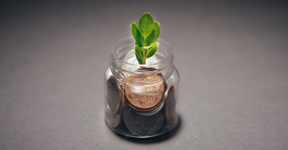 découvrez les avantages d'un investissement durable, axé sur la rentabilité économique tout en préservant l'environnement. apprenez comment investir de manière responsable pour un avenir meilleur.