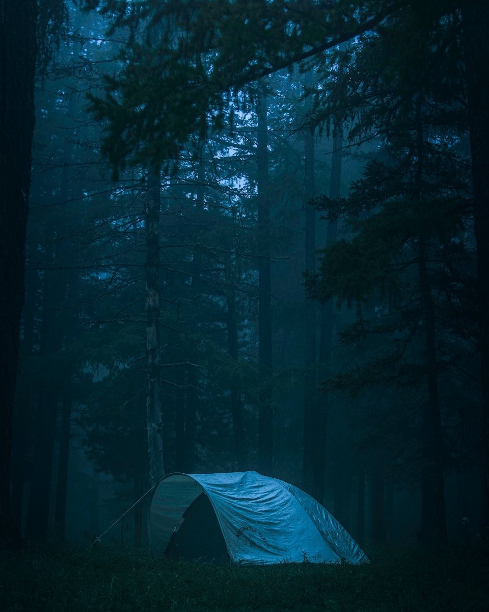 green tent in the middle of the forest