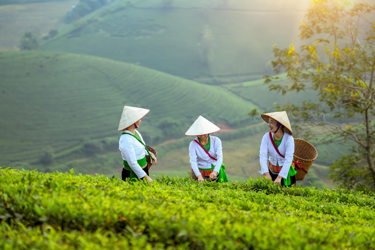 découvrez les parcours inspirants de femmes entrepreneures, leurs succès, défis et conseils pour réussir dans le monde de l’entrepreneuriat au féminin.