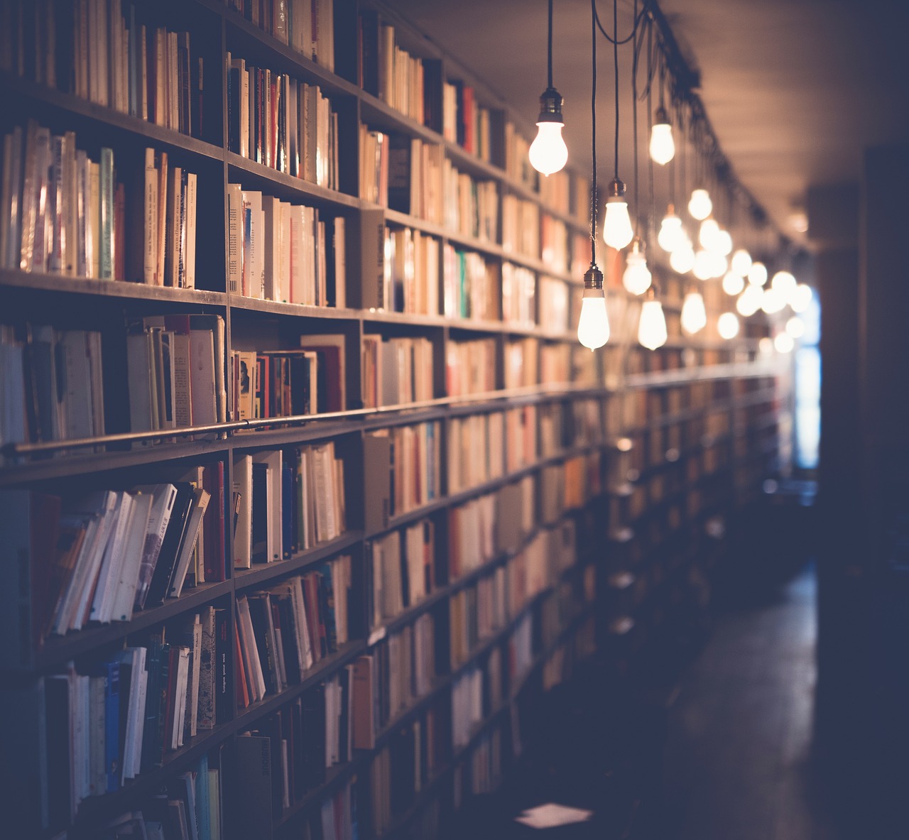 découvrez comment l'éducation à l'entrepreneuriat aide à développer l'esprit d'initiative, l'innovation et les compétences nécessaires pour lancer et gérer une entreprise avec succès.