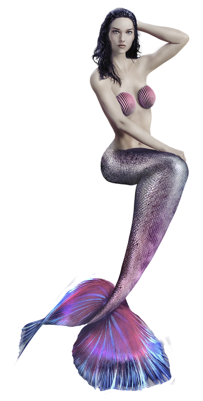 découvrez tout ce qu'il faut savoir sur le numéro siren : définition, utilité, démarches, et guide pour comprendre l'identification des entreprises en france.