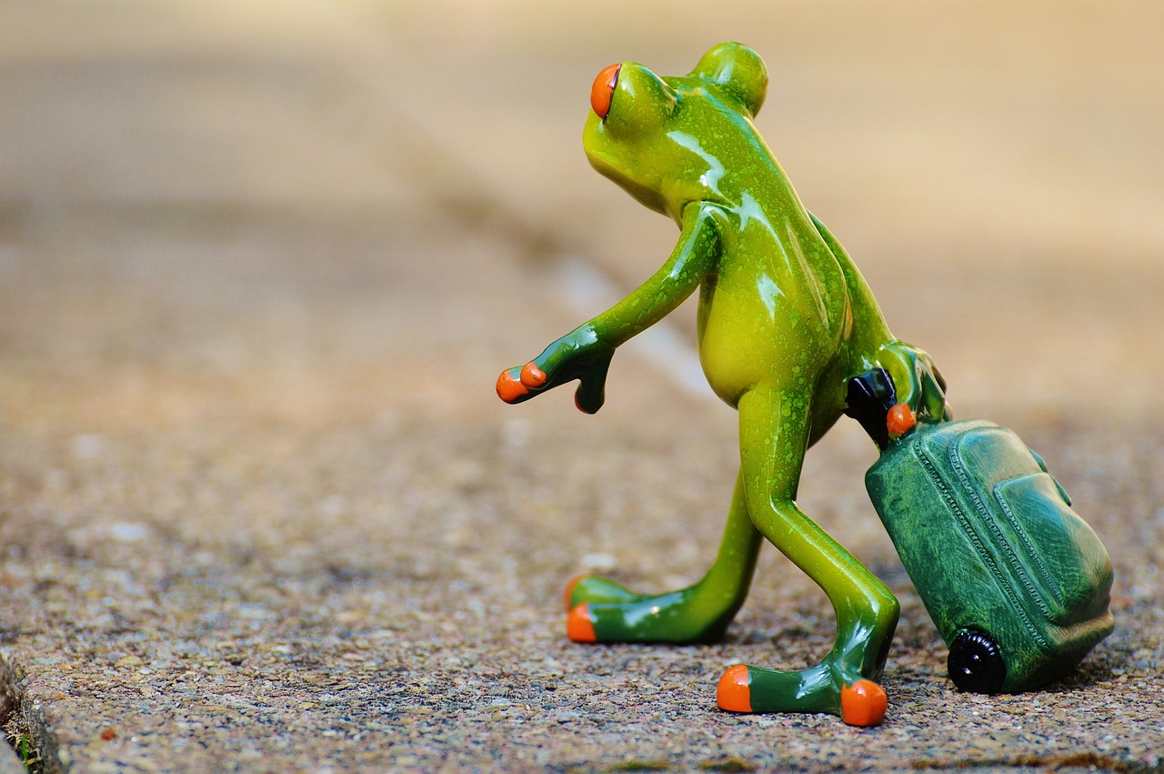 découvrez les meilleures idées, conseils et guides pour organiser vos voyages. inspirez-vous et préparez vos prochaines aventures autour du monde avec nos astuces pratiques !