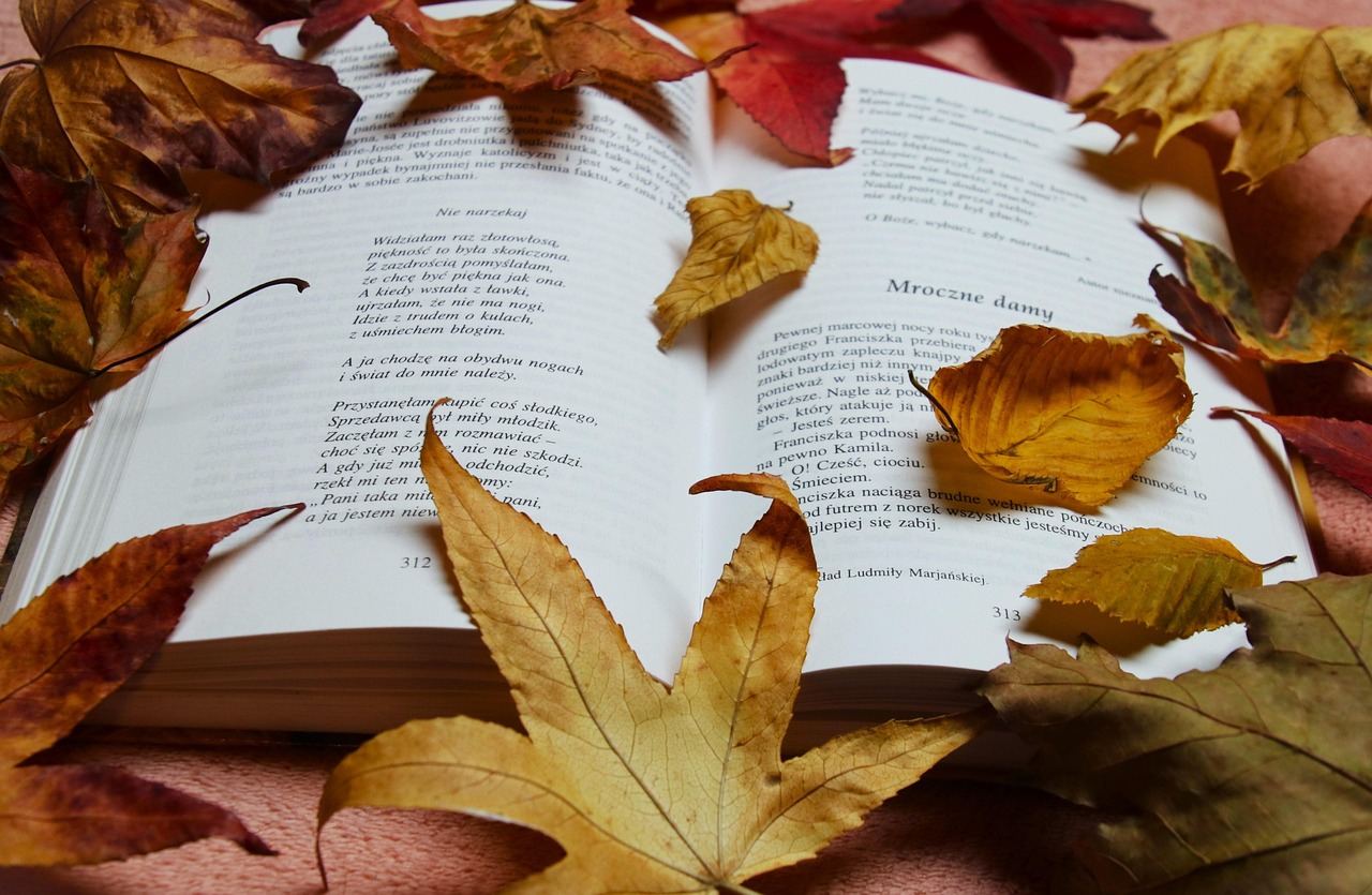 découvrez notre sélection d'inspirations d'automne pour sublimer votre saison avec style et chaleur.