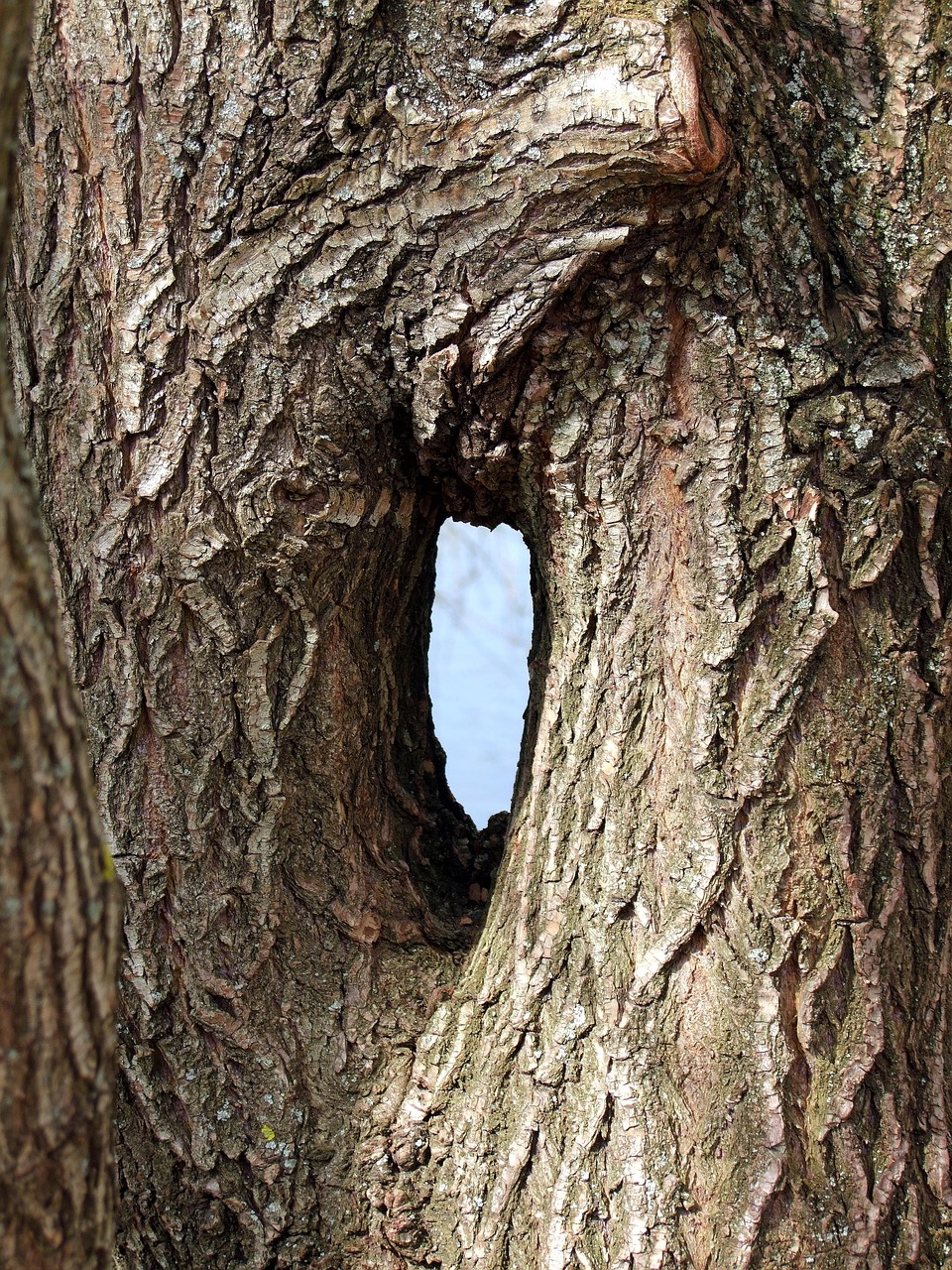 d&eacute;couvrez les avantages et les enjeux d'une fusion d'&eacute;coles, un processus qui vise &agrave; optimiser les ressources, am&eacute;liorer la qualit&eacute; de l'enseignement et renforcer la communaut&eacute; &eacute;ducative.