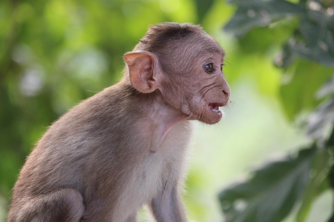 adoptez un mode de vie &eacute;cologique avec think green, votre source d'inspiration pour des actions durables et respectueuses de l'environnement.